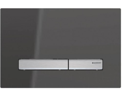 115.788.SD.2 Смывная клавиша Geberit Sigma50 для двойного смыва к 111.300/350/361/362/380/390/796 зеркальное дымчатое стекло/металлический хромирован 115.788.SD.2