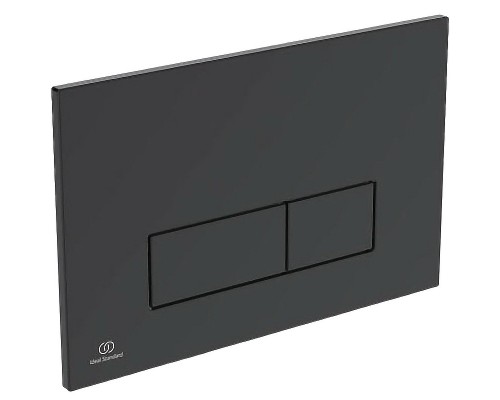 R0121A6 OLEAS™ M2 Механическая панель смыва, двойной смыв, черный R0121A6