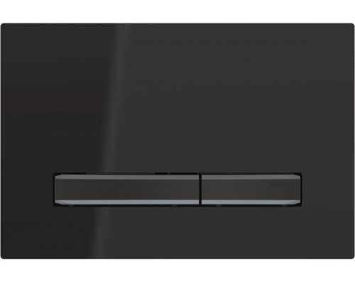 115.671.DW.2 Смывная клавиша Geberit Sigma50, для двойного смыва, цвет металлический хромированный черный: хромированный черный, черный 115.671.DW.2