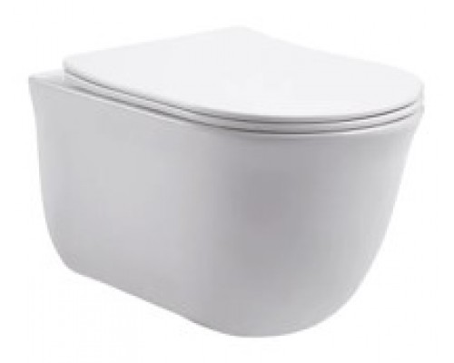 AQ1111-00 КЛАССИК Унитаз подвесной безободковый 525365340, тонкое сиденье с механизмом плавного закрывания, крепеж AQ1111-00
