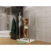 Allen Brau Priority Душевой уголок 90x100 см, цвет: хром 3.31001.00   3.31019.00