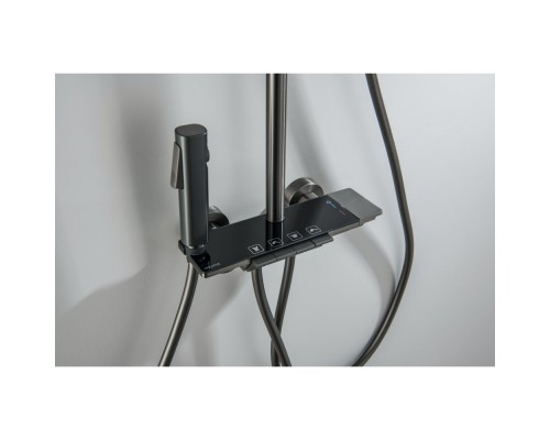 AQ3040BGM ПОЛАРИС душевая система (смеситель для ванны) 295х195 мм, оружейная сталь (шлиф. черный хром) AQ3040BGM