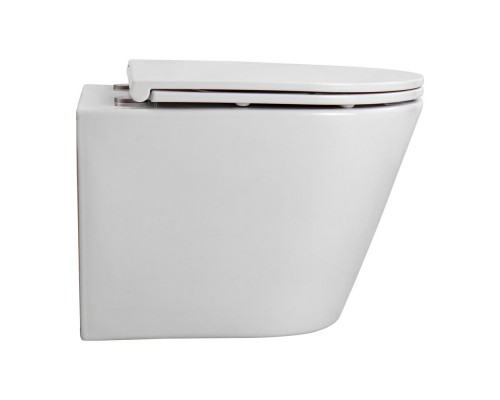 AQ1904T-00 ВЕГА Унитаз-компакт подвесной TORNADO 490360320мм, тонкое сиденье с механизмом плавного закрывания, крепеж AQ1904T-00