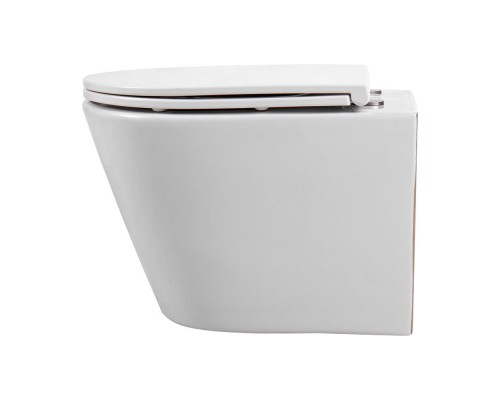 AQ1904T-00 ВЕГА Унитаз-компакт подвесной TORNADO 490360320мм, тонкое сиденье с механизмом плавного закрывания, крепеж AQ1904T-00