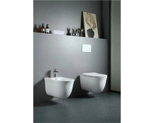 AQ1111-00 КЛАССИК Унитаз подвесной безободковый 525365340, тонкое сиденье с механизмом плавного закрывания, крепеж AQ1111-00