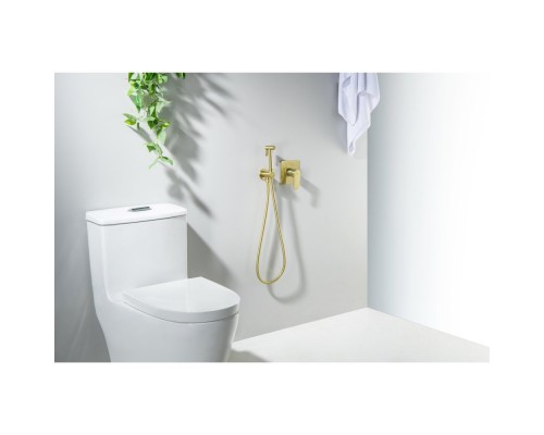 AQ1219BG ОБЕРОН набор с гигиеническим душем (смеситель + гигиеническая лейка + шланг + шланговое подсоединение с держателем), шлиф. золото AQ1219BG