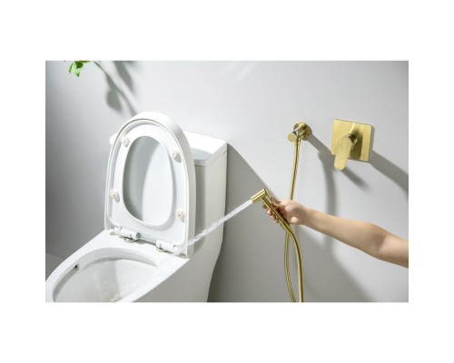 AQ1219BG ОБЕРОН набор с гигиеническим душем (смеситель + гигиеническая лейка + шланг + шланговое подсоединение с держателем), шлиф. золото AQ1219BG