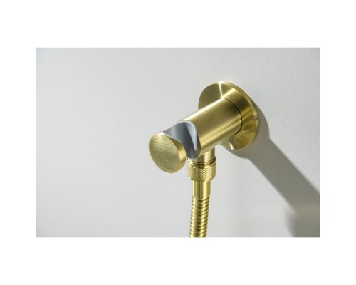 AQ1219BG ОБЕРОН набор с гигиеническим душем (смеситель + гигиеническая лейка + шланг + шланговое подсоединение с держателем), шлиф. золото AQ1219BG
