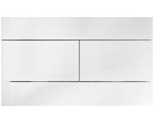 E4316-00 Панель для двойного смыва, белый E4316-00