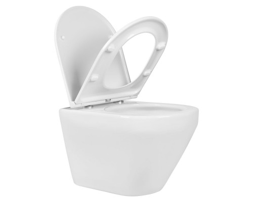 AQ1199T-00 ЛЕЯ Унитаз подвесной TORNADO 490360320мм, тонкое сиденье с механизмом плавного закрывания, крепеж AQ1199T-00