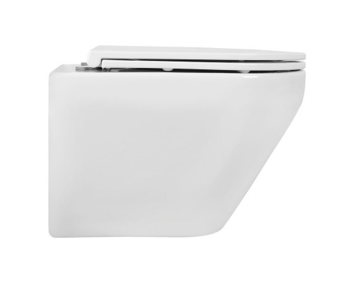 AQ1199T-00 ЛЕЯ Унитаз подвесной TORNADO 490360320мм, тонкое сиденье с механизмом плавного закрывания, крепеж AQ1199T-00