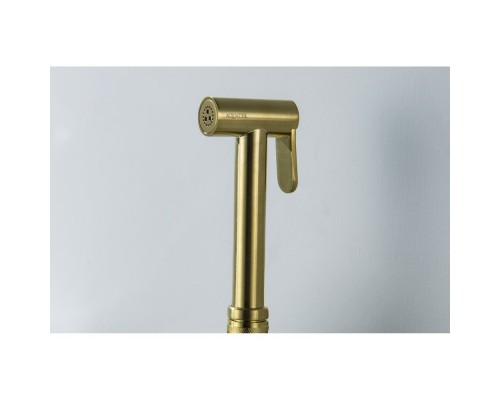 AQ2057BG гигиенический ручной душ, шлиф. золото AQ2057BG