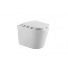 AQ1904T-00 ВЕГА Унитаз-компакт подвесной TORNADO 490360320мм, тонкое сиденье с механизмом плавного закрывания, крепеж AQ1904T-00