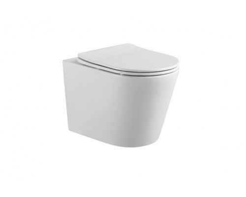 AQ1904T-00 ВЕГА Унитаз-компакт подвесной TORNADO 490360320мм, тонкое сиденье с механизмом плавного закрывания, крепеж AQ1904T-00