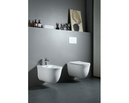 Set AQUATEK КЛАССИК (рама AQUATEK Standard INS-0000012 с звукоиз.прокладкой+крепеж KKI-0000002+кнопкаKDI-0000010+унитаз КЛАССИК AQ1111-00 с крышкой SET AQUATEK КЛАССИК-010 4в1