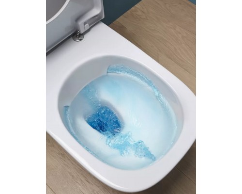 E21750RU-00 Унитаз c инсталляцией Rodin+, сиденье тонкое микролифт, панель для двойного смыва, глянцевый белый (E36495-NF+E36496-00+EDY102+E23280) E21750RU-00