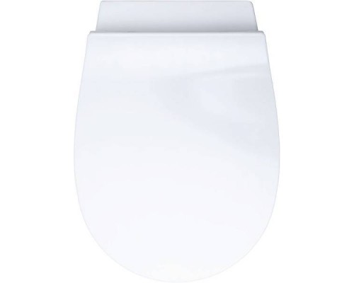 Allen Brau Fantasy Унитаз подвесной, rimless, без сиденья, гигиенический душ гор/хол., 51x36,3см, цв 4.11HC1.20