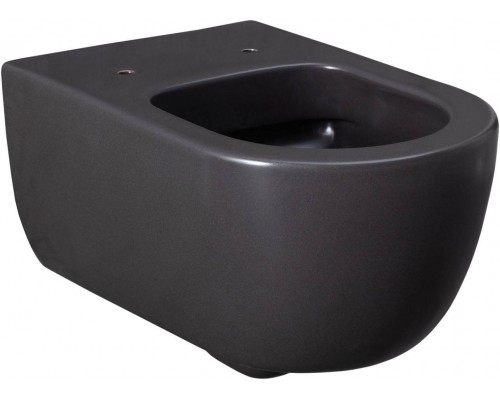 Allen Brau Priority Чаша для подвесного унитаза 36x54,5x33h см, цвет: серый 4.31001.AN Allen Brau Priority Чаша для подвесного унитаза 36x54,5x33h см, цвет: серый 4.31001.AN