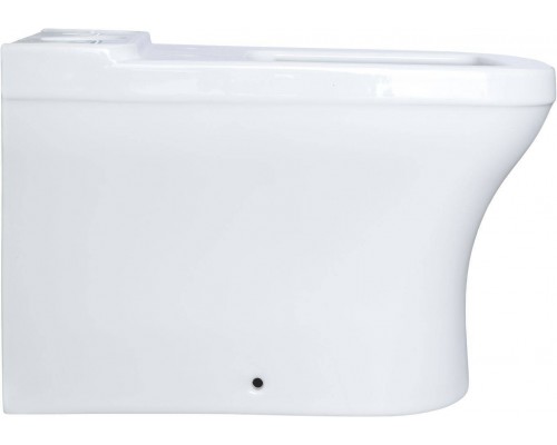 Allen Brau Infinity Чаша для напольного унитаза 37,2x54,5x81,2h см, цвет: белый 4.21012.20 Allen Brau Infinity Чаша для напольного унитаза 37,2x54,5x81,2h см, цвет: белый 4.21012.20