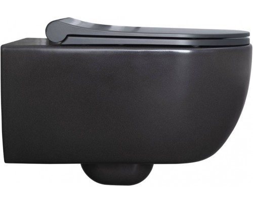 Allen Brau Priority Чаша для подвесного унитаза 36x54,5x33h см, цвет: серый 4.31001.AN Allen Brau Priority Чаша для подвесного унитаза 36x54,5x33h см, цвет: серый 4.31001.AN