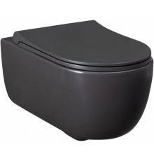 Allen Brau Priority Чаша для подвесного унитаза 36x54,5x33h см, цвет: серый 4.31001.AN
