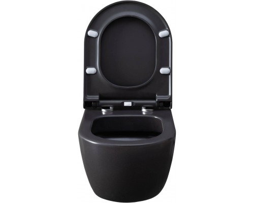 Allen Brau Priority Чаша для подвесного унитаза 36x54,5x33h см, цвет: серый 4.31001.AN Allen Brau Priority Чаша для подвесного унитаза 36x54,5x33h см, цвет: серый 4.31001.AN