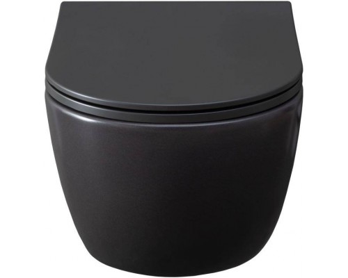 Allen Brau Priority Чаша для подвесного унитаза 36x54,5x33h см, цвет: серый 4.31001.AN Allen Brau Priority Чаша для подвесного унитаза 36x54,5x33h см, цвет: серый 4.31001.AN