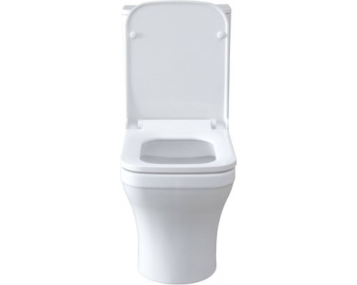 Allen Brau Infinity Чаша для напольного унитаза 37,2x54,5x81,2h см, цвет: белый 4.21012.20 Allen Brau Infinity Чаша для напольного унитаза 37,2x54,5x81,2h см, цвет: белый 4.21012.20