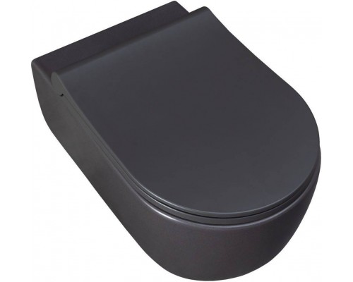 Allen Brau Priority Чаша для подвесного унитаза 36x54,5x33h см, цвет: серый 4.31001.AN Allen Brau Priority Чаша для подвесного унитаза 36x54,5x33h см, цвет: серый 4.31001.AN