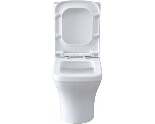 Allen Brau Infinity Чаша для напольного унитаза 37,2x54,5x81,2h см, цвет: белый 4.21012.20 Allen Brau Infinity Чаша для напольного унитаза 37,2x54,5x81,2h см, цвет: белый 4.21012.20