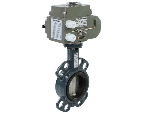 Затвор дисковый РИДАН PN16 DN250 чуг./EPDM/ЭП220В Затвор дисковый РИДАН PN16 DN250 чуг./EPDM/ЭП220В
