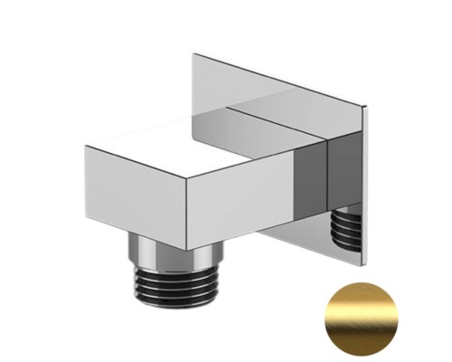 Шланговое подключение для душа Remer 309WBG, золото брашированное