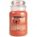 Декоративная свеча Village Candle Сила мысли (602 грамма)