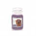 Декоративная свеча Village Candle Надежда (602 грамма)