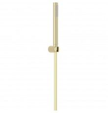 AQ2034BG ЕВРОПА душевой набор 1jet, шлиф. золото AQ2034BG