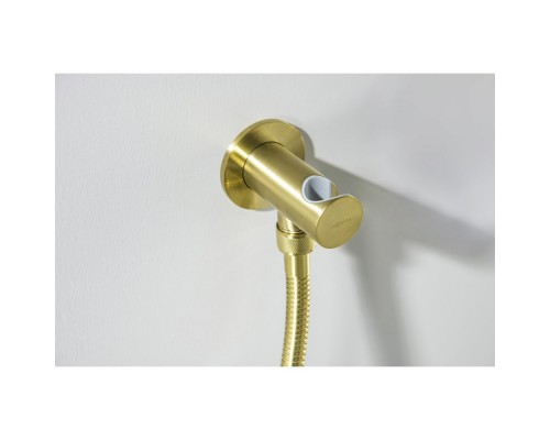 AQ2464BG шланговое подсоединение с держателем, шлиф. золото AQ2464BG