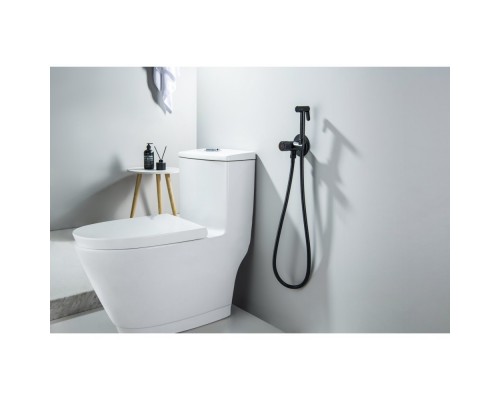 AQ1023MB БЕТТА комплект для гигиенического душа Select встроенный (смеситель + гигиеническая лейка + шланг), матовый черный AQ1023MB