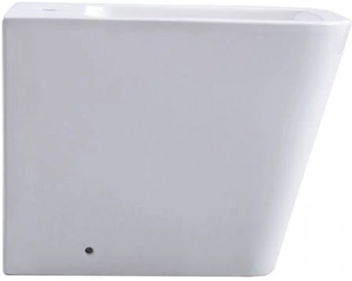 AQ1266N-00 ЛИБРА New Биде напольное 560х370х400, крепеж AQ1266N-00