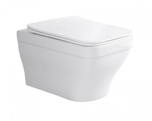 Set AQUATEK АМАДЕО (рама AQUATEK Standard INS-0000012 с звукоиз.прокладкой+крепеж KKI-0000002+кнопкаKDI-0000012+унитаз АМАДЕО AQ1163-00+крышка-сиденье SET AQUATEK АМАДЕО-012 4в1