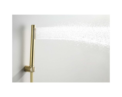 AQ2034BG ЕВРОПА душевой набор 1jet, шлиф. золото AQ2034BG
