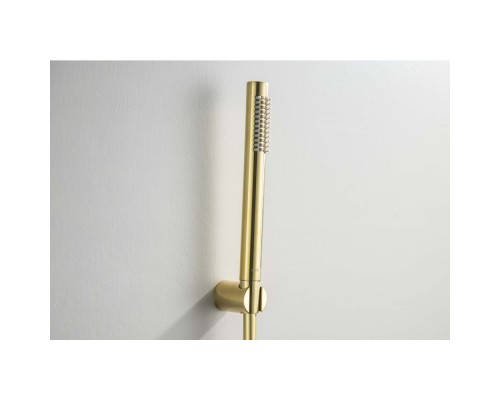 AQ2034BG ЕВРОПА душевой набор 1jet, шлиф. золото AQ2034BG