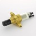 Фильтр промывной BWT Protector mini HWS 1/2" 100 мкм для х/в пластик. колба