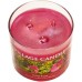 Декоративная свеча Village Candle Дикая роза (213 грамм)