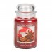 Декоративная свеча Village Candle Перец и корица (602 грамма)
