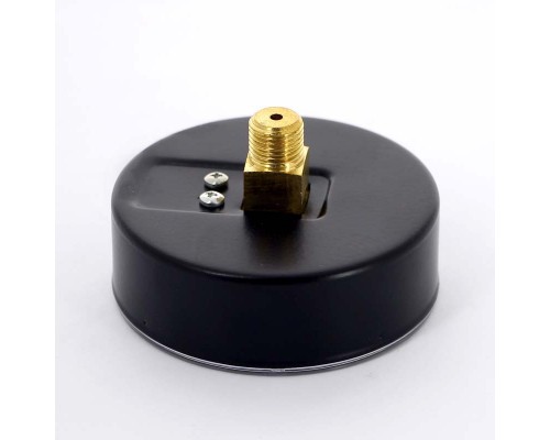 Манометр аксиальный F+R100 WATTS Ind 1/4" 80 мм 10 бар