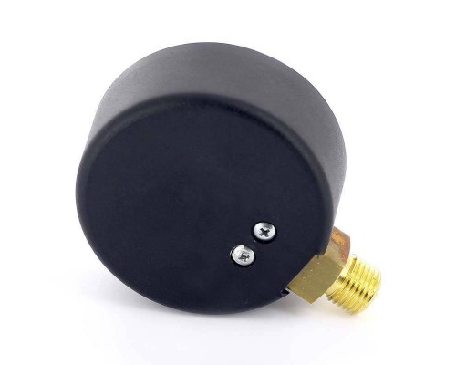 Манометр радиальный F+R200 WATTS Ind 1/2" 80 мм 16 бар