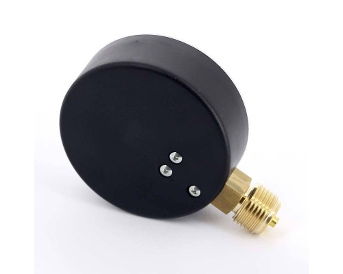 Манометр радиальный F+R200 WATTS Ind 1/2" 80 мм 10 бар