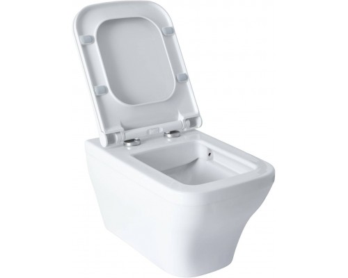 Allen Brau Infinity Чаша для подвесного унитаза 34x53,5x35,5h см, цвет: белый 4.21011.20