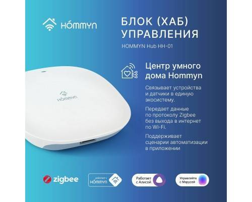 Блок управления (шлюз) Hommyn Hub HH-01