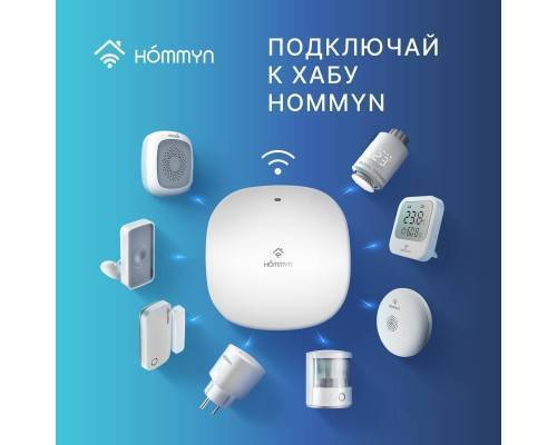 Блок управления (шлюз) Hommyn Hub HH-01